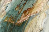 Polished, Gary Green (Larsonite) Petrified Wood - Oregon #180199-1